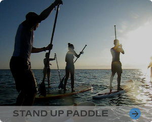スタンドアップパドルボード