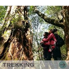 トレッキング