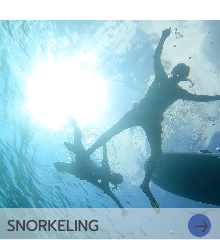 シュノーケリング