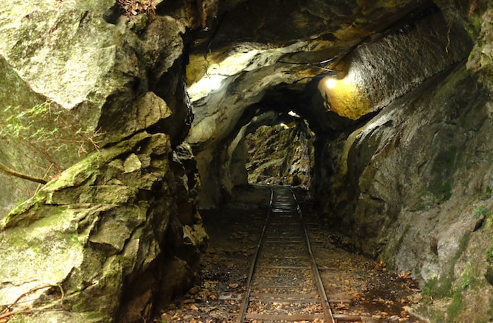 縄文杉日帰りコース1