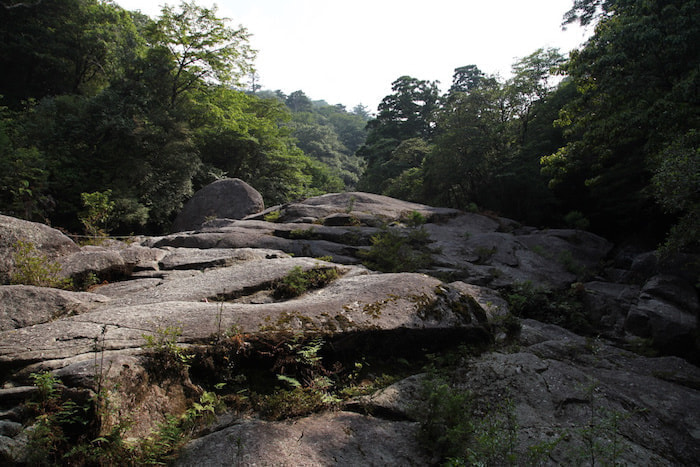 白谷雲水峡 １日or半日 コース2