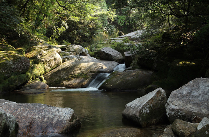 白谷雲水峡 １日or半日 コース3
