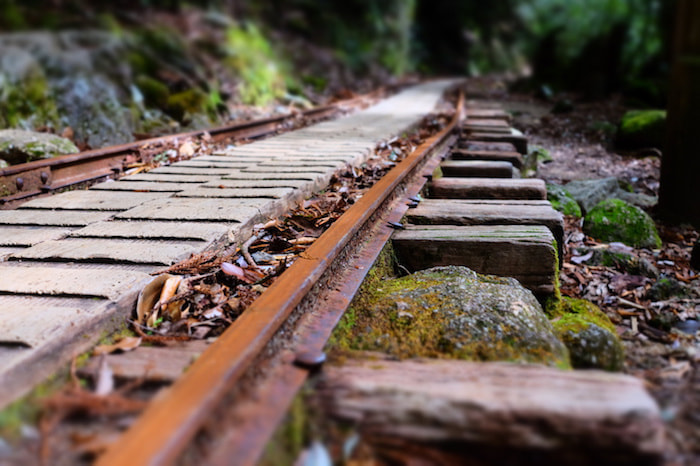 縄文杉日帰りコース2