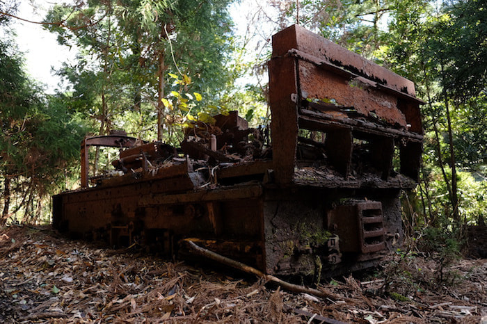 縄文杉日帰りコース3