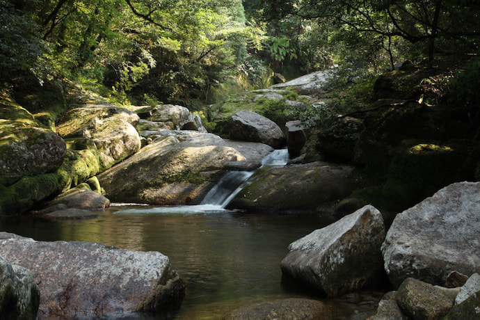 白谷雲水峡 １日or半日 コース3