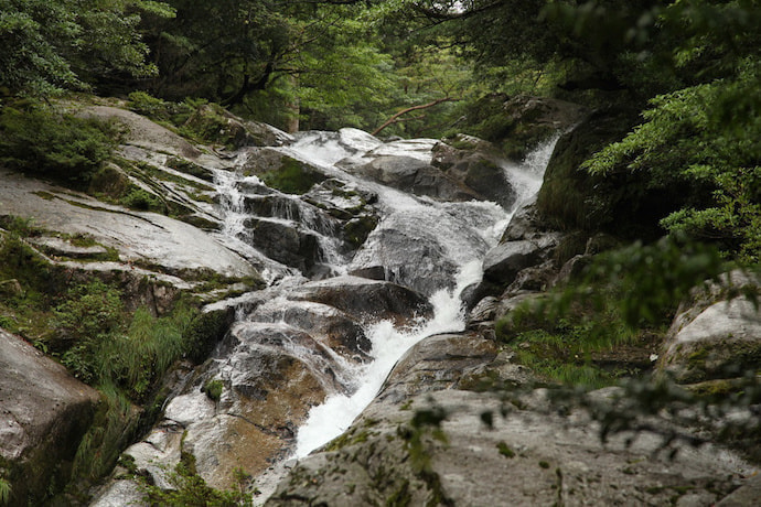 白谷雲水峡 １日or半日 コース4