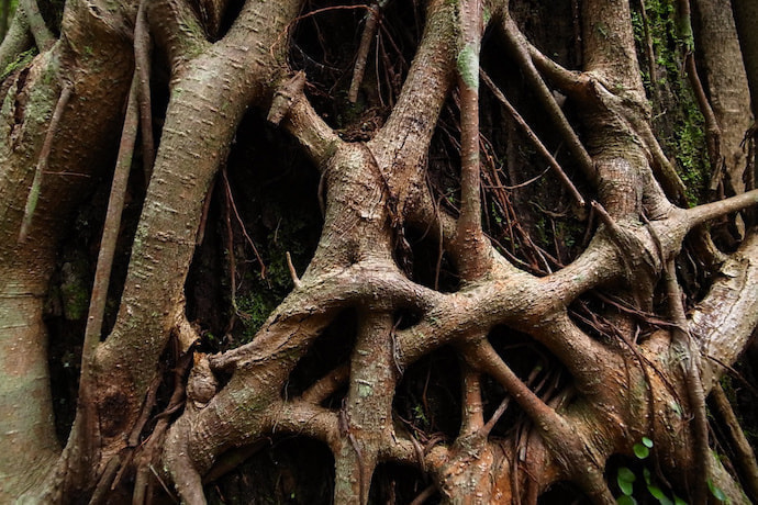 西部林道（半山）コース7
