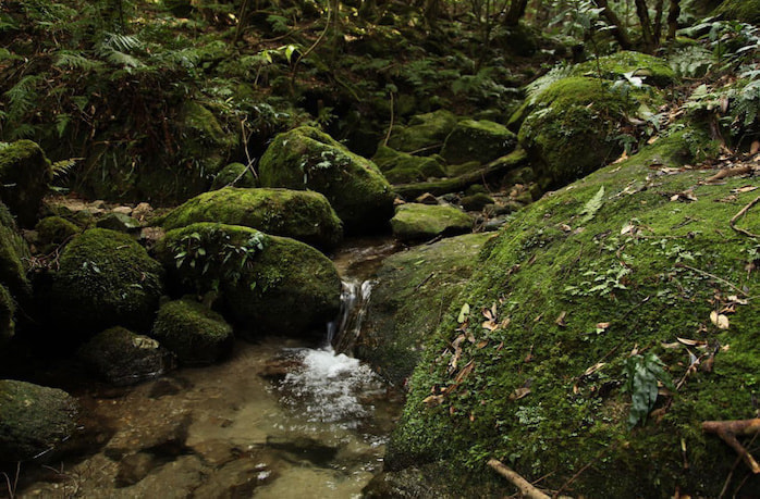 蛇之口滝コース3