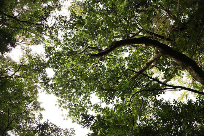 蛇之口滝コース2