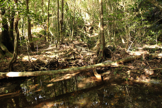 蛇之口滝コース4