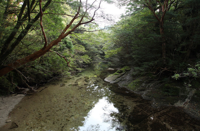 宮之浦岳コース4