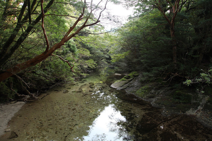 宮之浦岳コース4