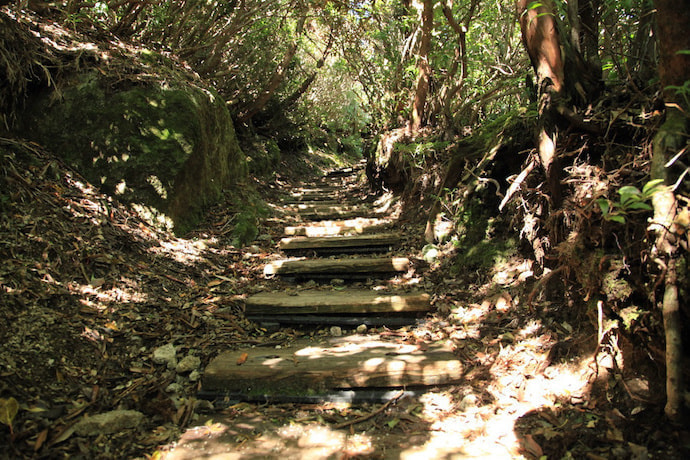 宮之浦岳コース5