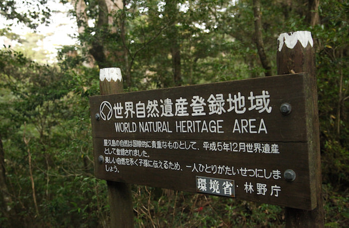 太忠岳（天柱石）コース7