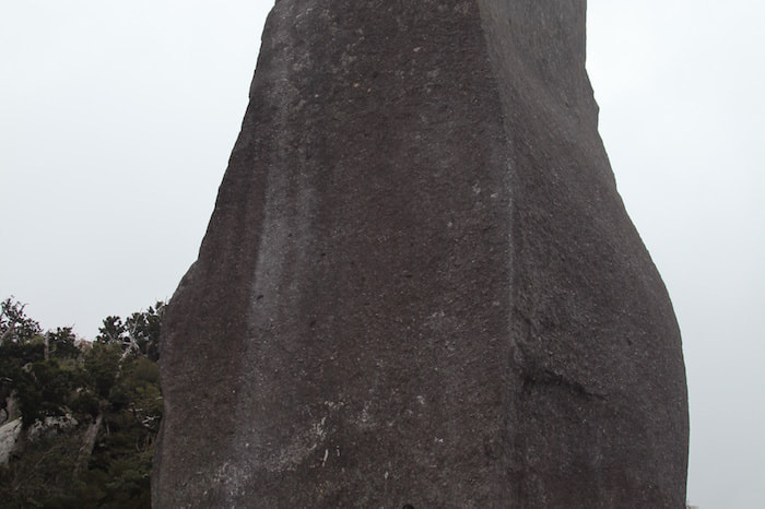 太忠岳（天柱石）コース9