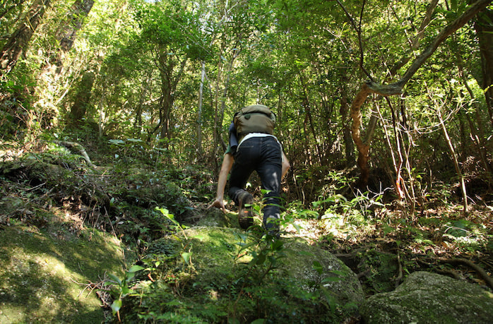 モッチョム岳コース3