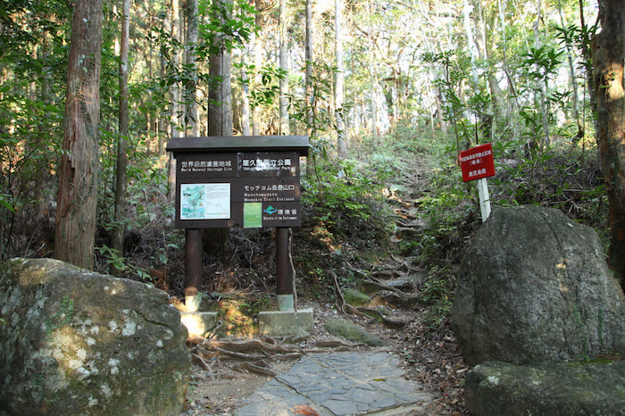 モッチョム岳コース1