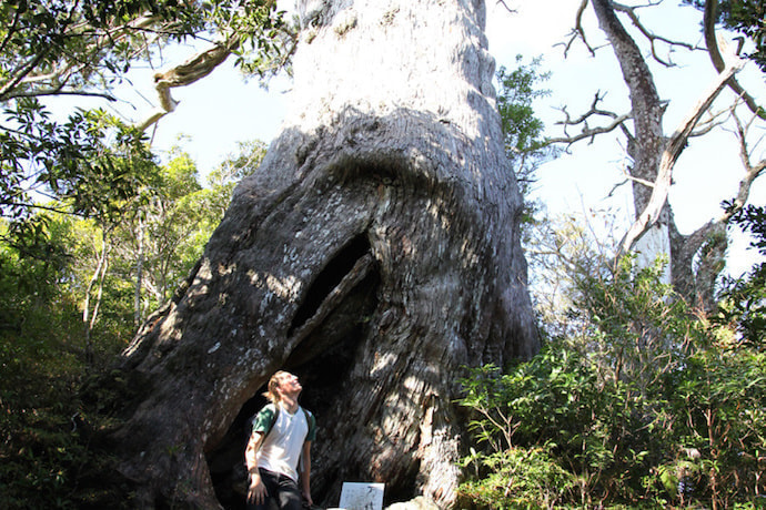 モッチョム岳コース4