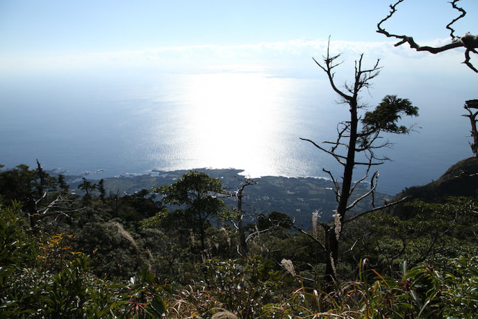 モッチョム岳コース5