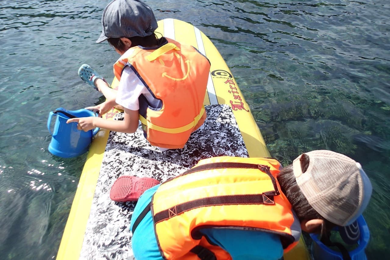 宮之浦岳コース