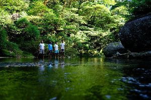 宮之浦岳-縄文杉 １泊２日縦走コース