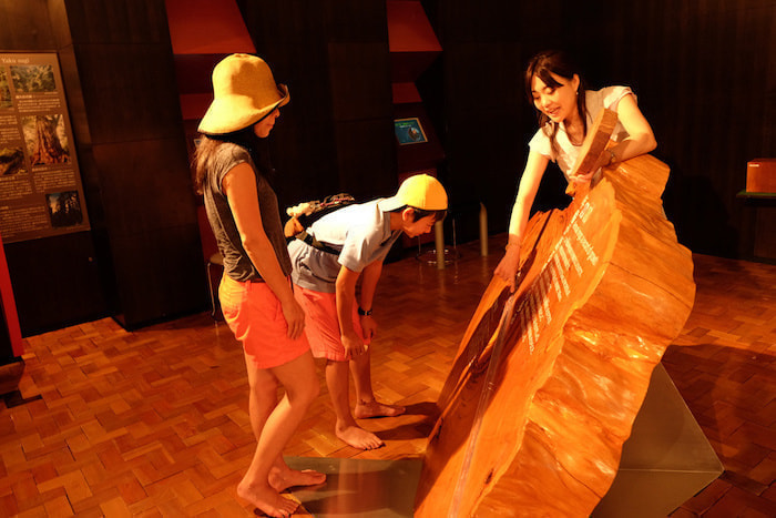 （スタッフに）お任せプラン2