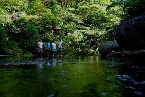 宮之浦岳-縄文杉 １泊２日縦走コース
