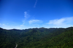 白谷雲水峡コース