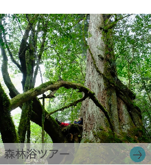 シュノーケリング